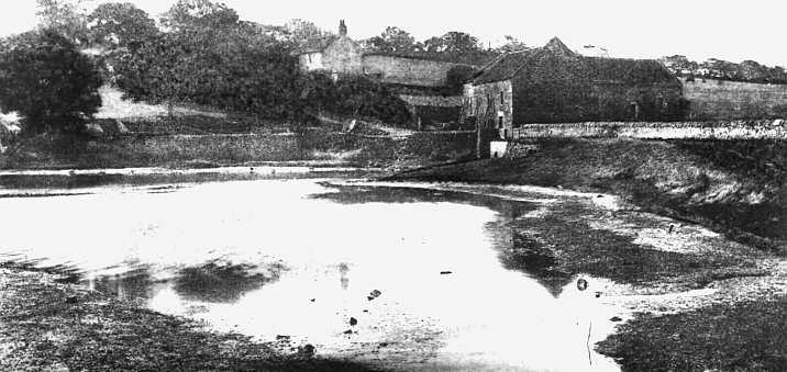 Sea Mill